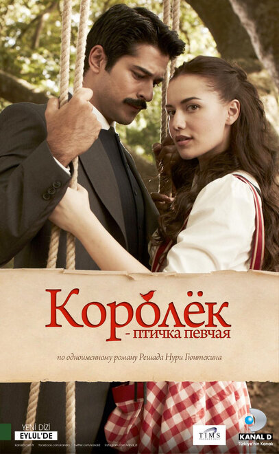 Королёк — птичка певчая (2013)