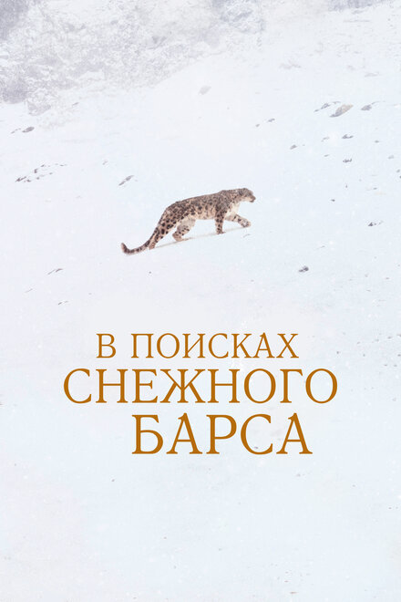 В поисках снежного барса